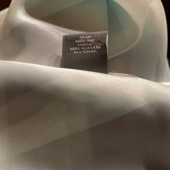 Ann Taylor Silk Skirt NWOT - Picture 7 of 7